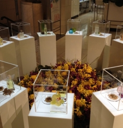 mitre acrylic boxes on plinths with flowers