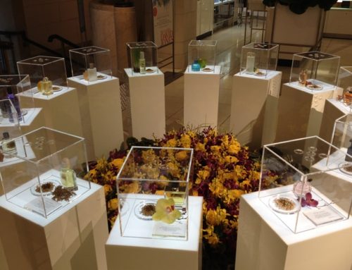 Acrylic Boxes For David Jones Flower Show